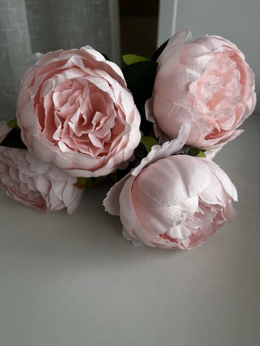 Шикарные  пионы лиана