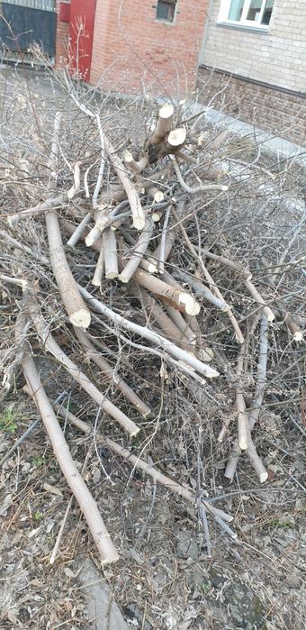 Отдам даром на дрова.