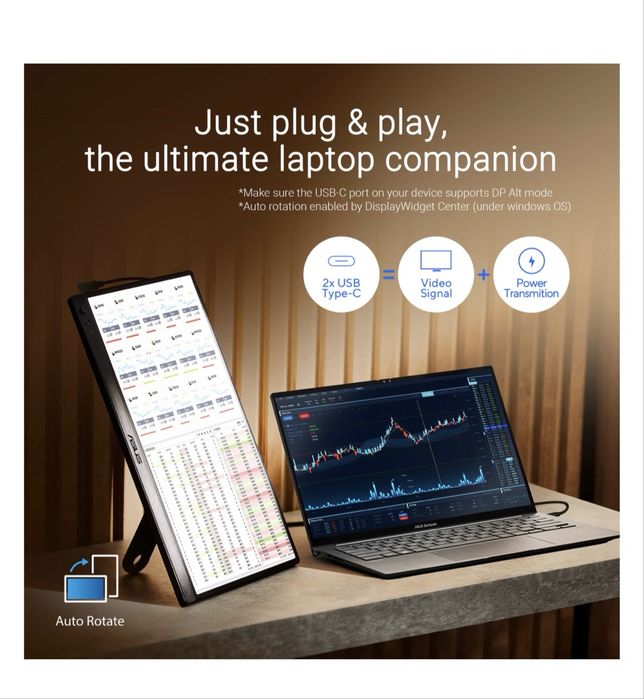 Asus ZenScreen MB169CK