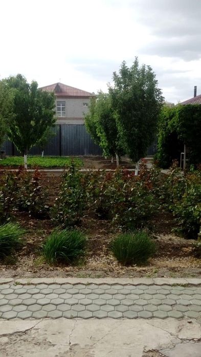 Срочная продажа дома