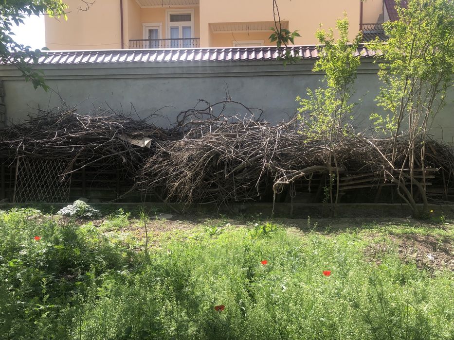 O’tin sotamiz holati yaxshi