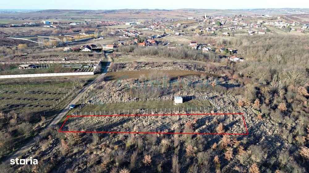Teren intravilan in apropiere de padure, Paleu, Bihor Gaminvest V4509B