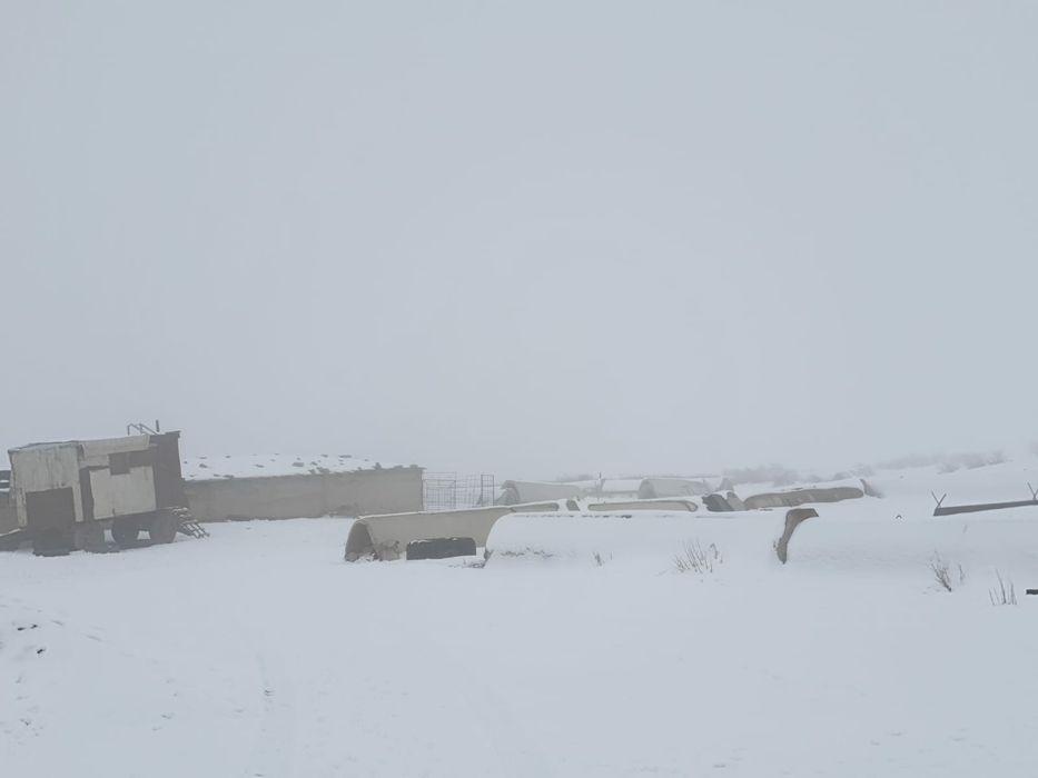 Фазенда сатылады