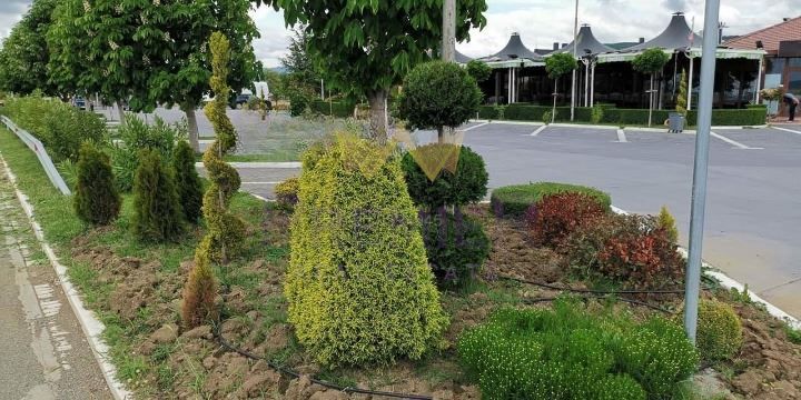 Продава се Заведение в Карнобат - 635 кв.м за 627 €/кв.м - Снимка #6