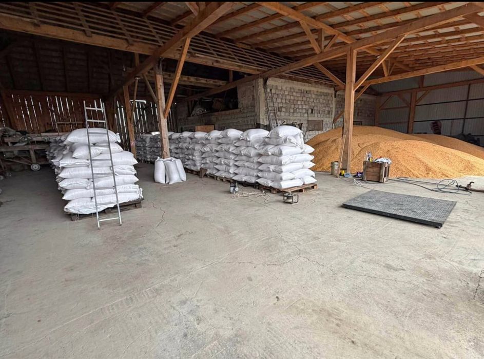 Vând porumb uscat gata pus in saci cu transport la domiciliu