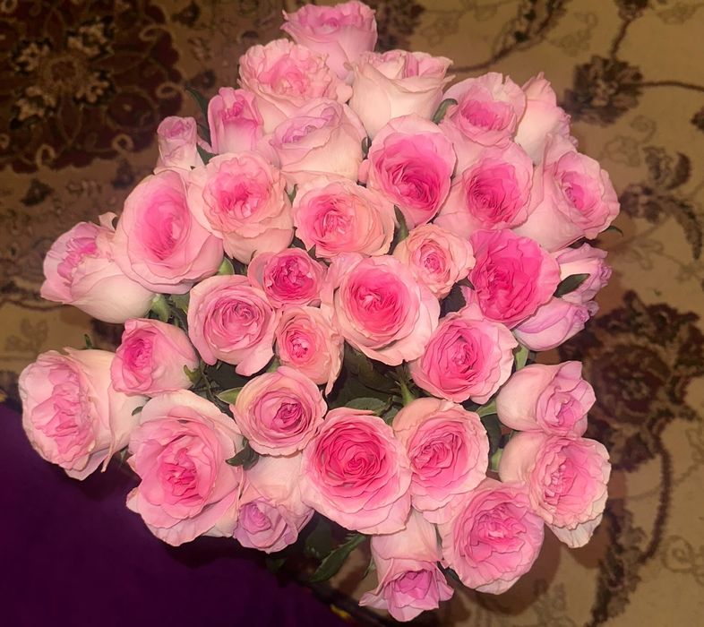 Розовые розы 35 шт