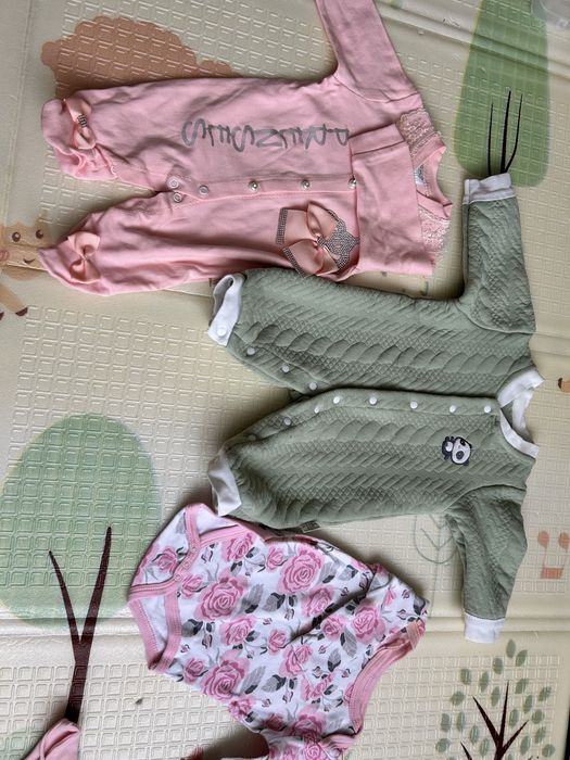 отдам даром бесплатный