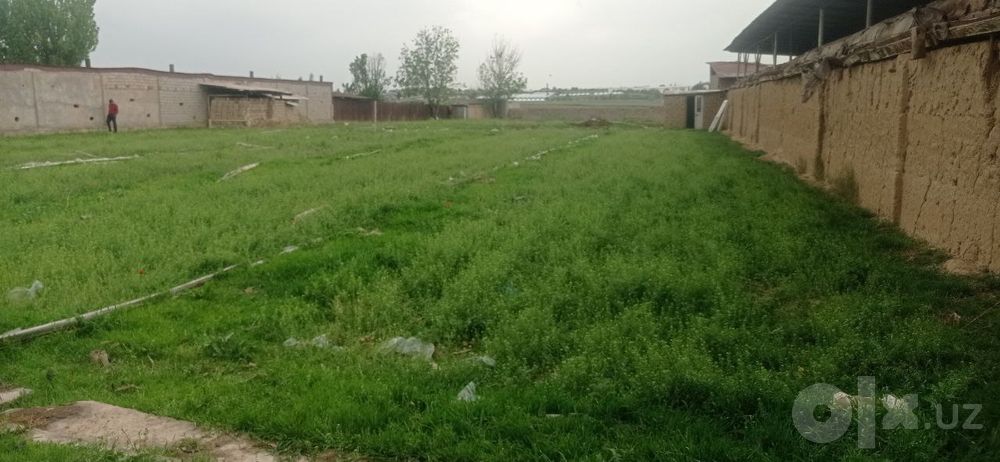 Toshkent tumani hasanboy po'stidan 100 metir kirganda yer 13.5 sutu