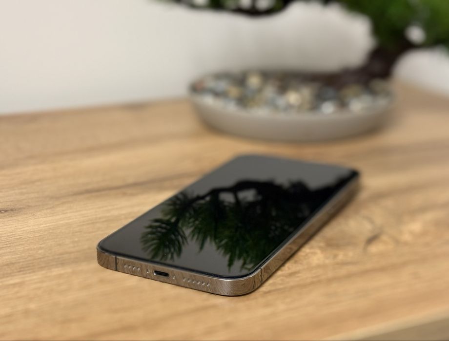 iPhone 13 Pro Max / Neverlock / 128 GB / Graphite