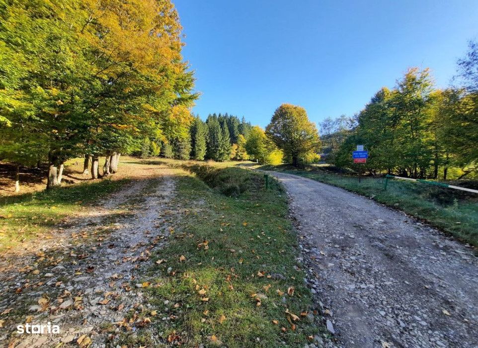 Teren extravilan , 7160 metri Cod:160785