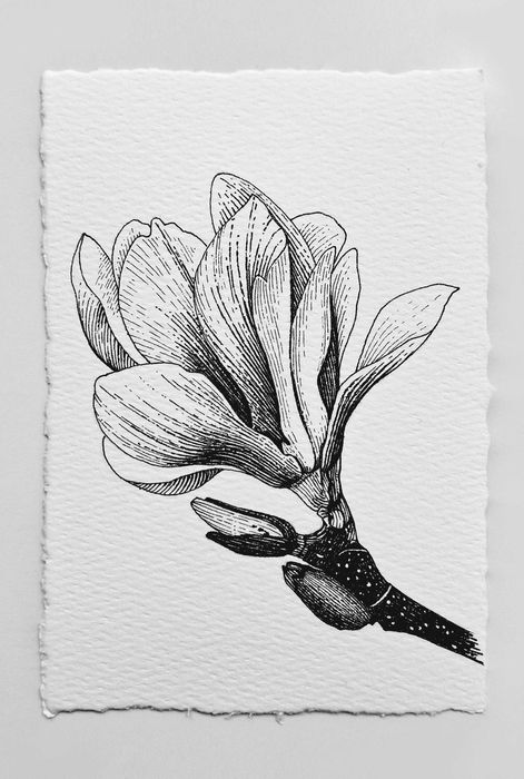 Нежни графични рисунки на цветя – ръчна изработка