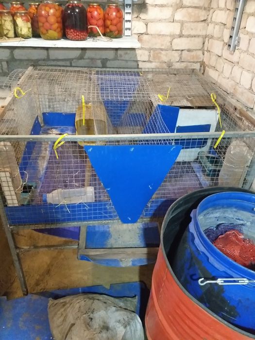 Продам клетки для кроликов