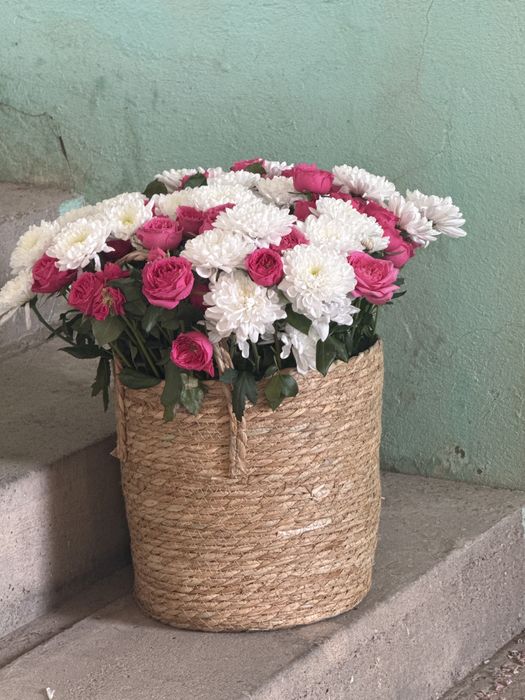 Гул/Цветы/Flower