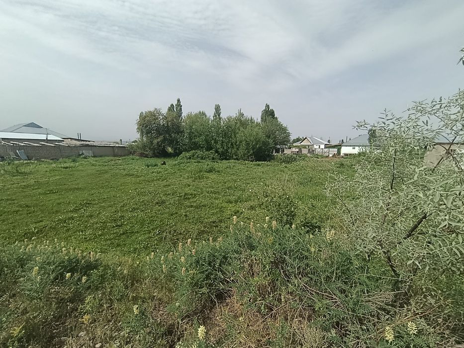 Участок Пригородное 20 соток
