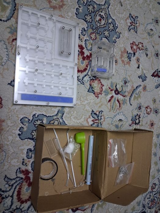 Формикарий для муравьев