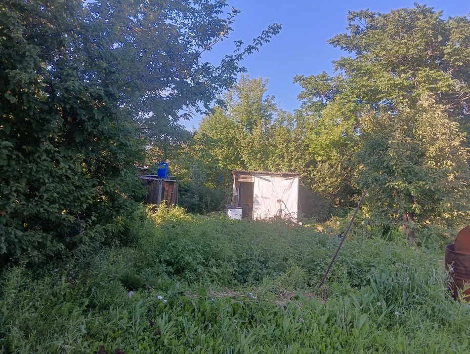 Срочно продам дачу