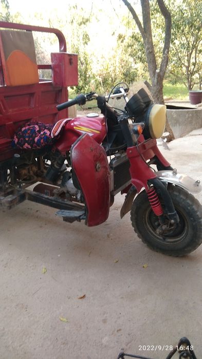 Muraviy hongju 250 mator zver uchadi