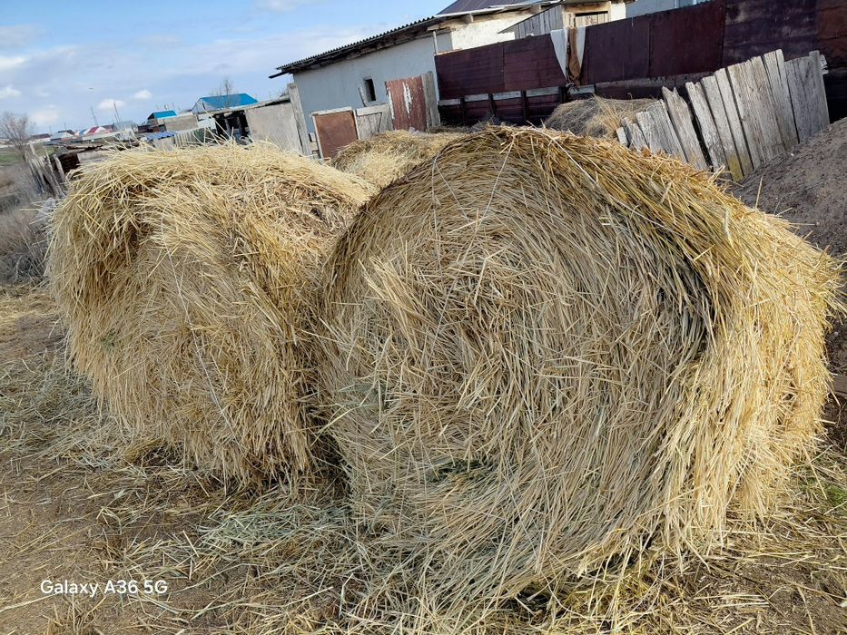 Продам Салому (рожка) в Подстепном
