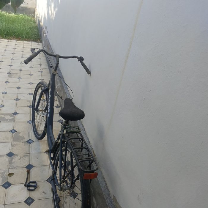 velosiped usta koʻrishi kerak