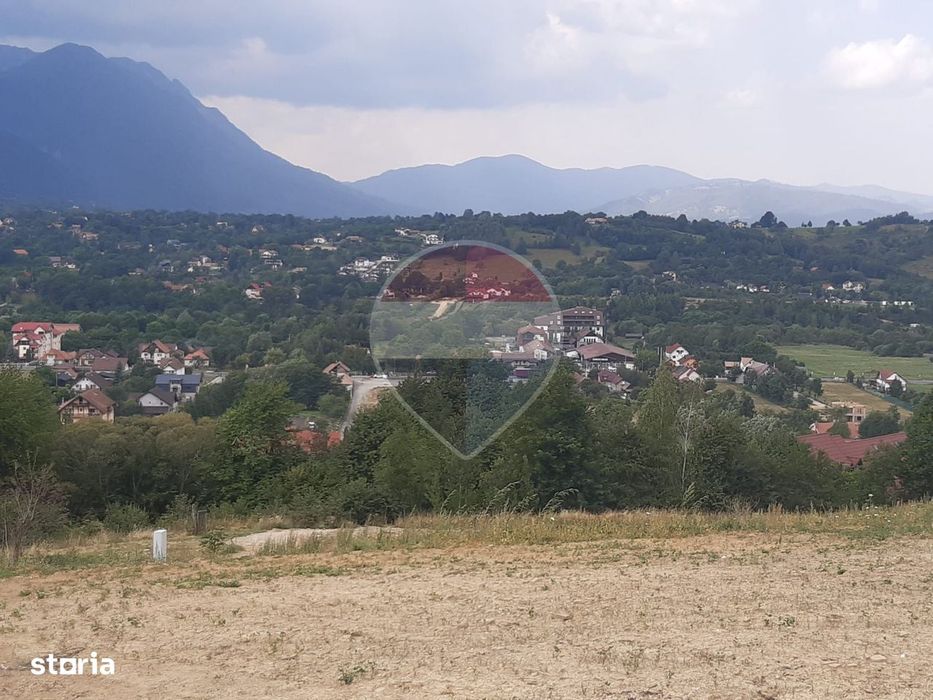 Teren 1,000mp Sohodol, cu utilitati / Strada Sohodol