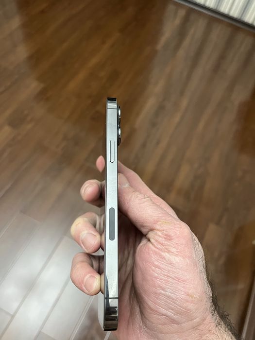 iPhone 13 Pro Max 256GB ideal