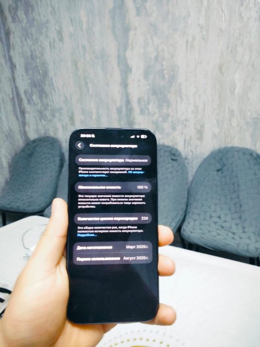 16 про мах 256гб 100% емкость 200 цикл