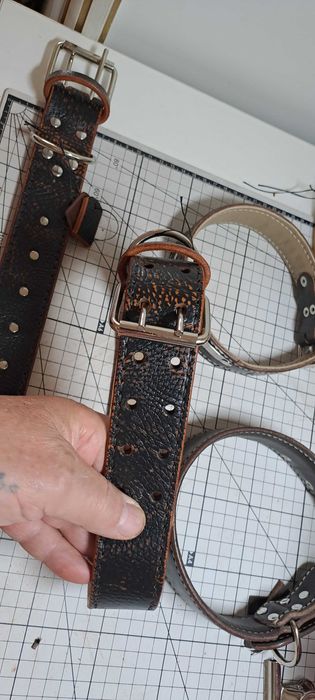 Ошейники для собак