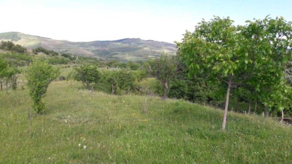 Vând livadă 3600 mp – Sebeșel, jud. Alba