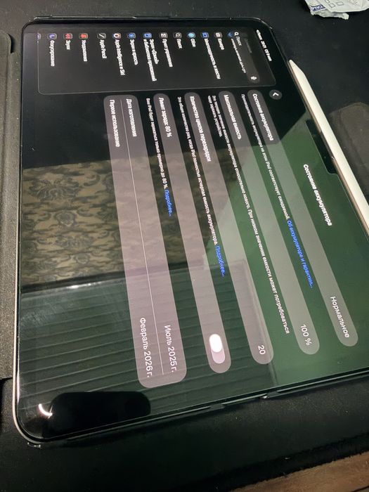 iPad Pro m5 256 black +pitaka