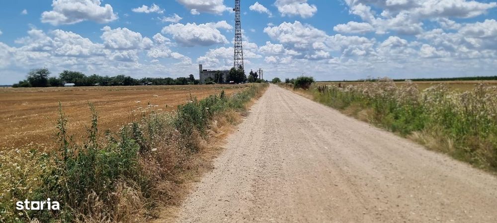 Vand 26 ha teren agricol, sat Gruiu, com Cateasca, Arges