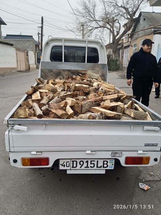 Утин сотилади хитое лабода