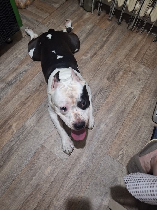 Кабель на вяску возрас два года