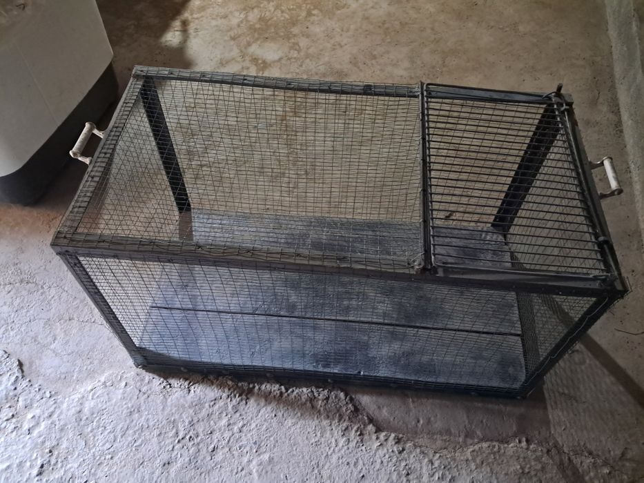 Жўжа боқишга катак сотилади