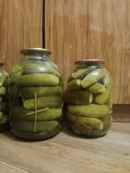Продам солёные огурцы!