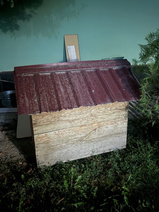 Кучук ини дом для собак