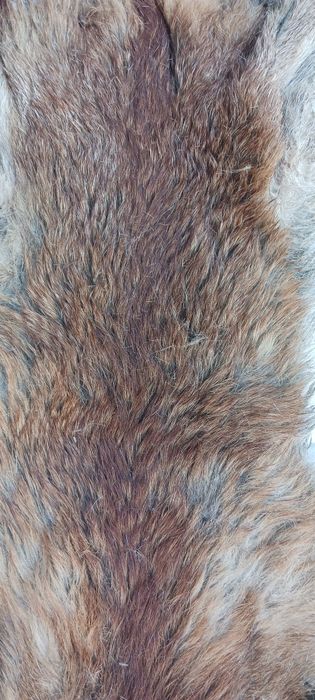 Кожа от лисица за украса