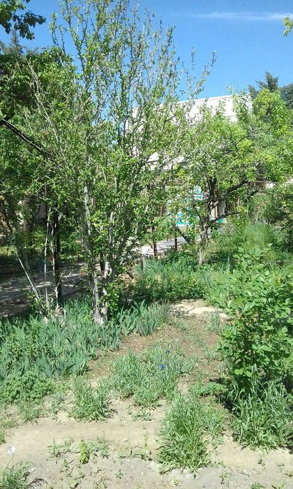 Продам дачу с/о Металлург,ул.Шарк , 3