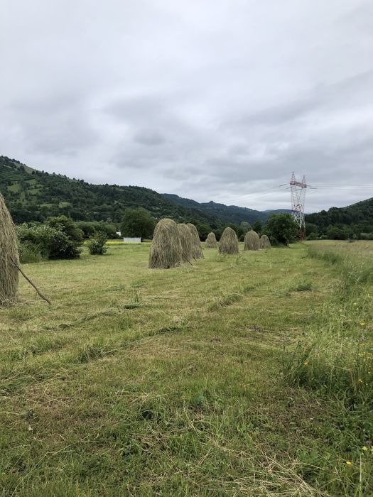 Teren DN15 Stejaru, Pangarati, Neamt, 9000 mp