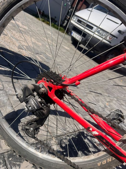 Bicicleta adulti