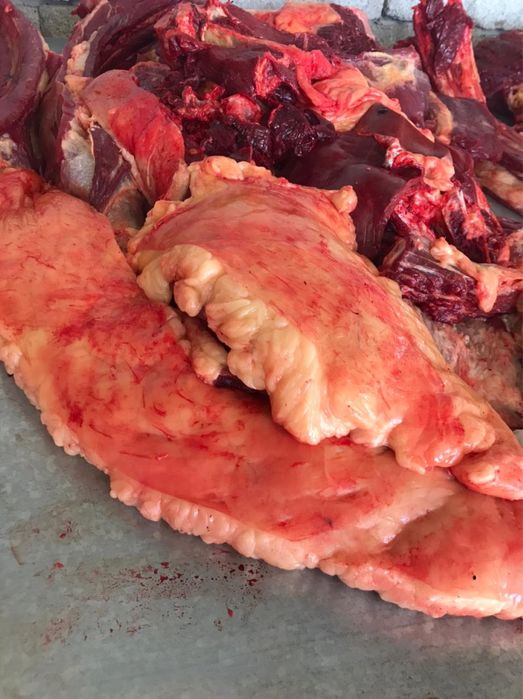 Жылкы ети 2400тг