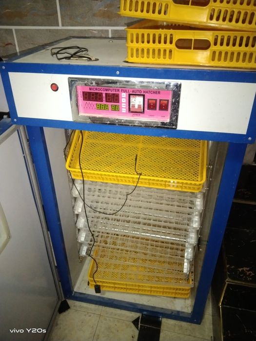 Inkubator 500 talik garantiya