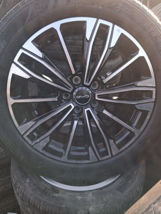 18 buvaydiga arginal diska balon