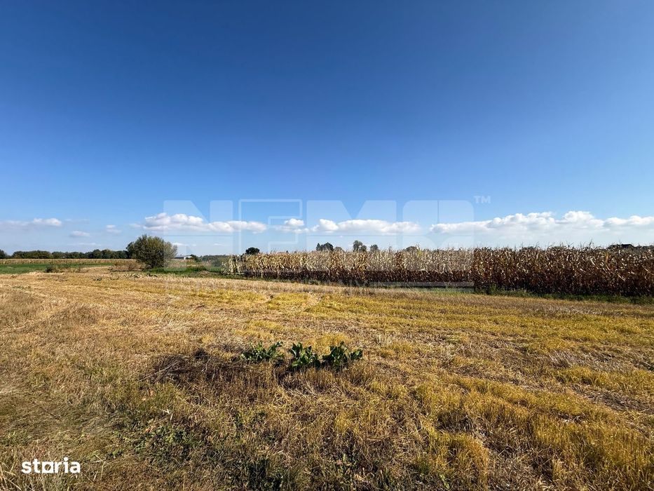 Teren intravilan | Volovat | 2200 mp
