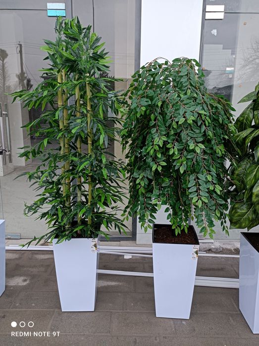 Искусственный деревя декоративные