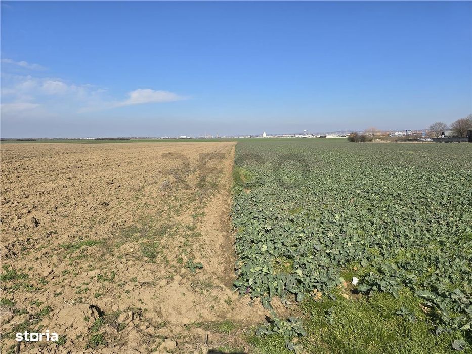 RECO Teren in Oradea