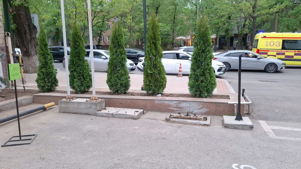 поливный система