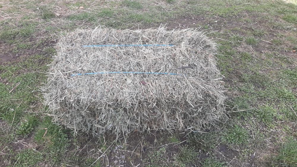 Baloti de fân produs 2025