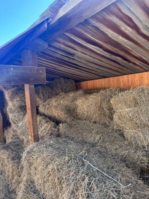 всем доброго время суток