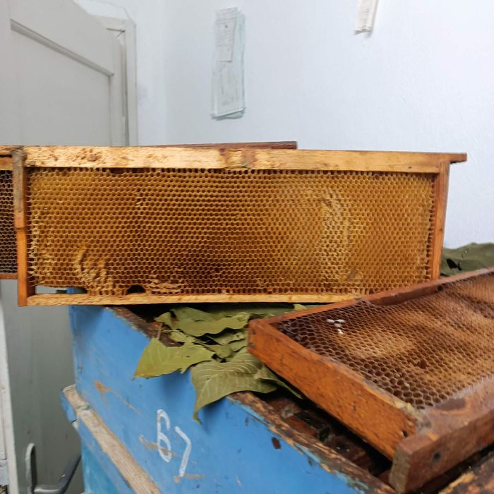 Продавам пчелни рамки даданблат