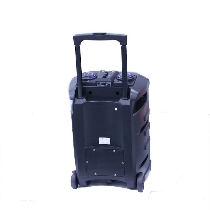 Караоке тонколона Thunder THS-B1201BTW; Bluetooth, FM радио, USB, SD c